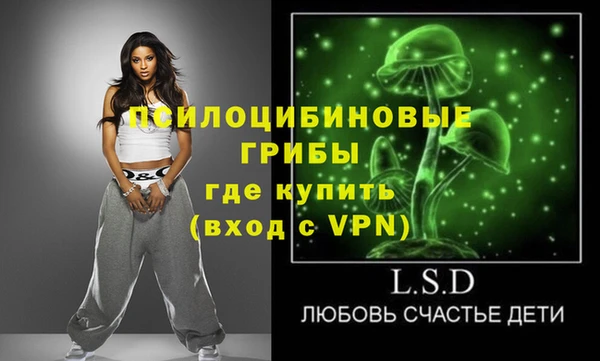 дживик Верея