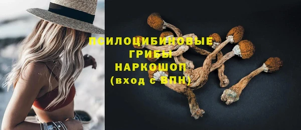 дживик Верея