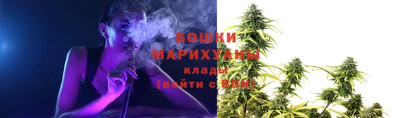 бошки Верхний Тагил