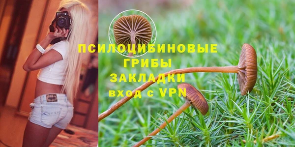 дживик Верея