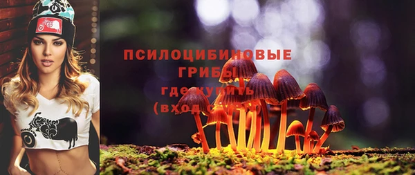 бошки Верхний Тагил
